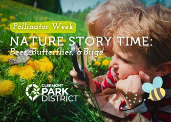 a nature story time about bees, butterflies, and bugs